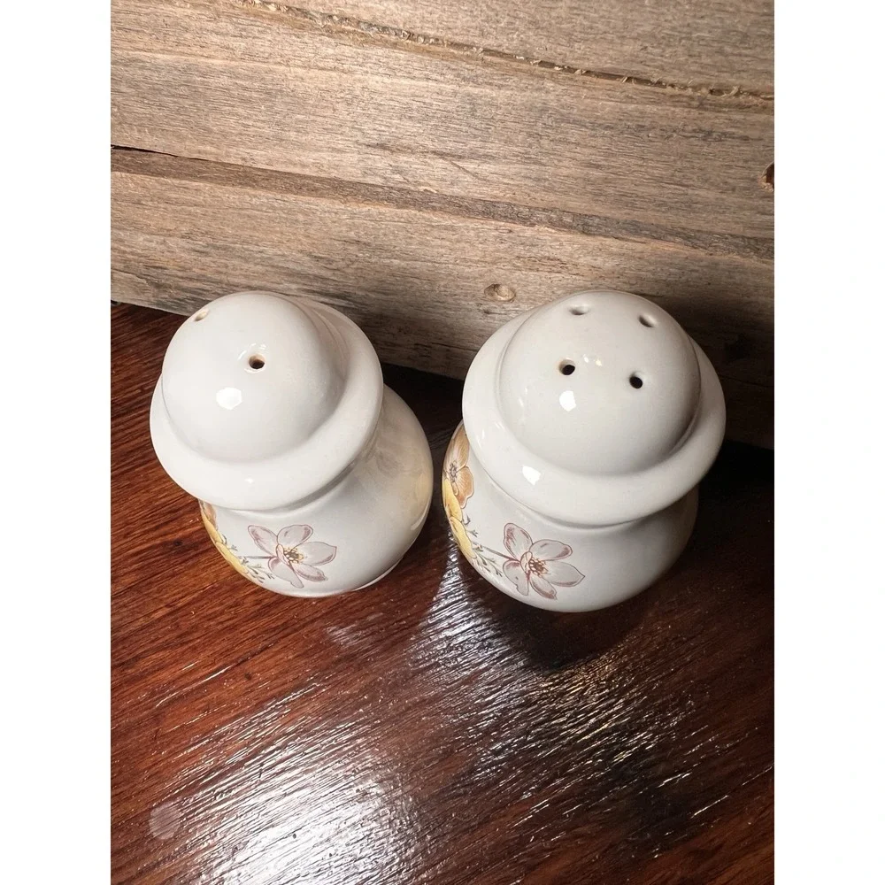 Noritake Autumnwind Salt Pepper Set 4
